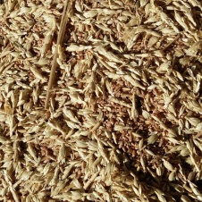 Зерноотходы пшеничные 1 категории 